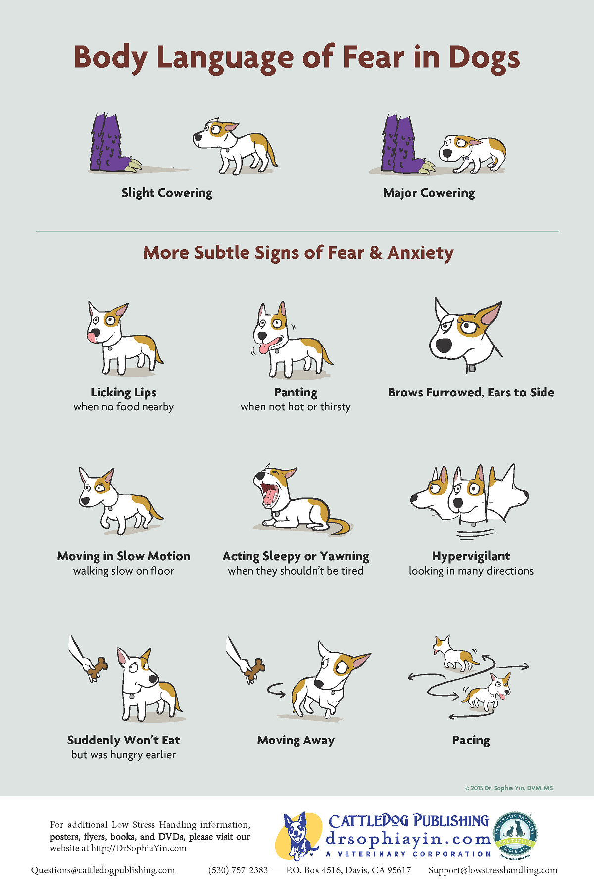 illustration of fearful dog body language